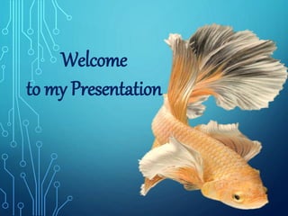 Welcome
to my Presentation
 