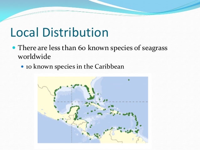 Natural Disturbances Vs Anthropogenic Natural Disturbances Vs Anthropogenic