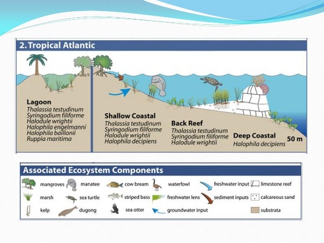 Natural Erosion Vs Anthropogenic Erosion Natural Erosion Vs Anthropogenic Erosion