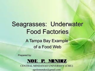 Seagrasses: UnderwaterSeagrasses: Underwater
Food FactoriesFood Factories
A Tampa Bay ExampleA Tampa Bay Example
of a Food Webof a Food Web
Prepared by:Prepared by:
NOE P. MENDEZNOE P. MENDEZ
CENTRAL MINDANAO UNIVERSITY (CMU)CENTRAL MINDANAO UNIVERSITY (CMU)
npolomendez@gmail.comnpolomendez@gmail.com
 