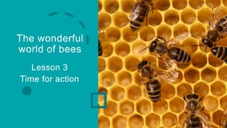 The wonderful
world of bees
Lesson 3
Time for action
 