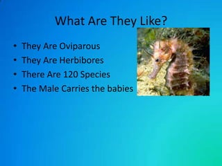 What Are They Like?
•
•
•
•

They Are Oviparous
They Are Herbibores
There Are 120 Species
The Male Carries the babies

 