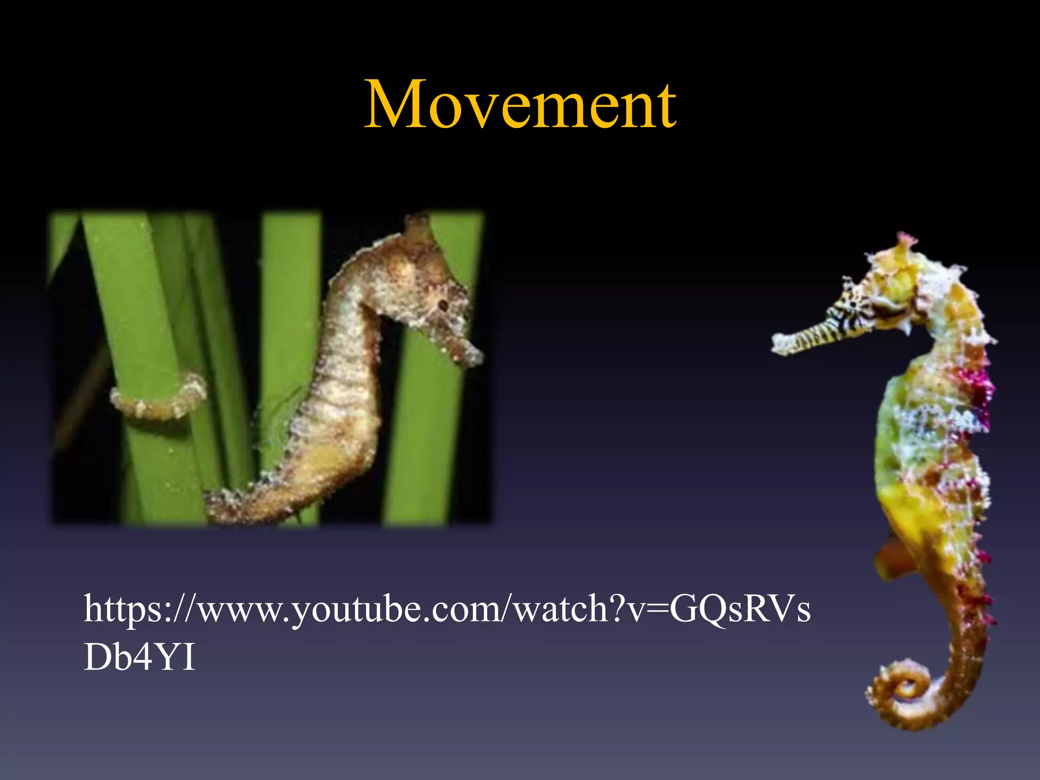 Movement
https://www.youtube.com/watch?v=GQsRVs
Db4YI
 