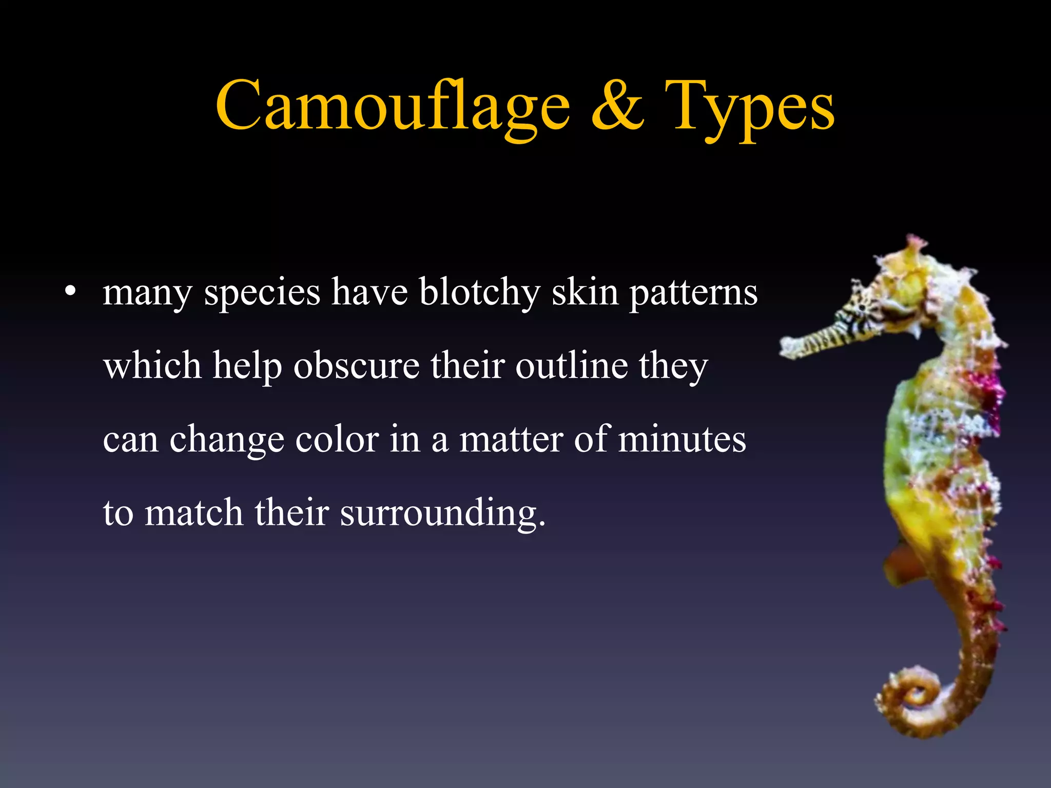 Camouflage & Types
• many species have blotchy skin patterns
which help obscure their outline they
can change color in a matter of minutes
to match their surrounding.
 