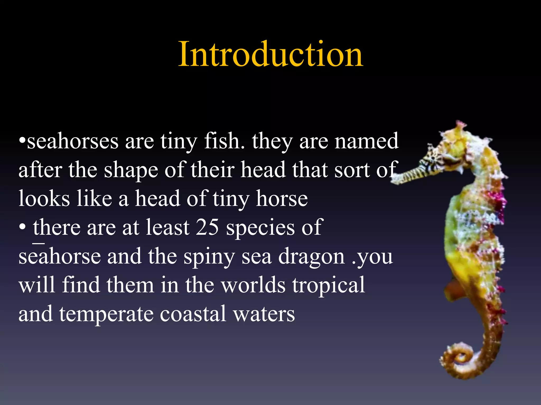 Introduction
_
•seahorses are tiny fish. they are named
after the shape of their head that sort of
looks like a head of tiny horse
• there are at least 25 species of
seahorse and the spiny sea dragon .you
will find them in the worlds tropical
and temperate coastal waters
 