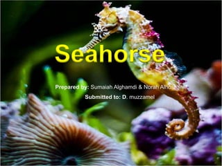 Seahorse
Prepared by: Sumaiah Alghamdi & Norah Alhoshani
Submitted to: D. muzzamel
 
