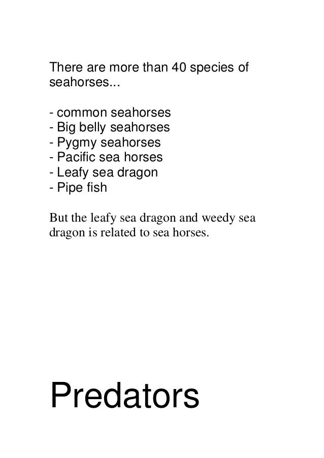 Sea Horses