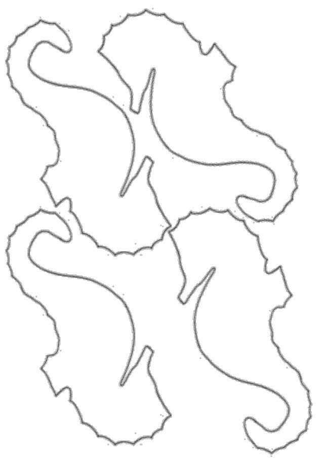 seahorse template tirevi fontanacountryinn com seahorse template