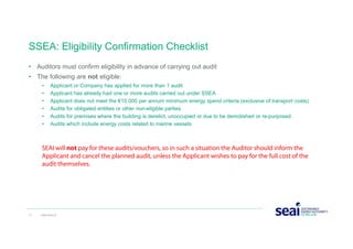 Seai Form.pdf SEAI Support Scheme Energy Audits - Briefing | PDF