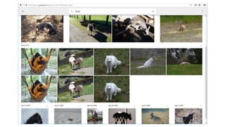 Image classification with Deeplearning4j | PDF