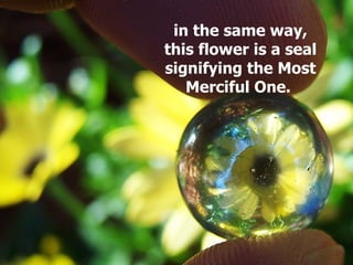 in the same way,
this flower is a seal
signifying the Most
Merciful One.
 