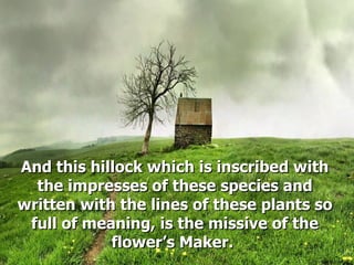 And this hillock which is inscribed withAnd this hillock which is inscribed with
the impresses of these species andthe impresses of these species and
written with the lines of these plants sowritten with the lines of these plants so
full of meaning, is the missive of thefull of meaning, is the missive of the
flower’s Maker.flower’s Maker.
 