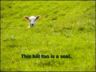 This hill too is a seal.This hill too is a seal.
 