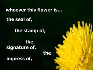 the seal of,
the stamp of,
the
signature of,
the
impress of,
whoever this flower is…
 