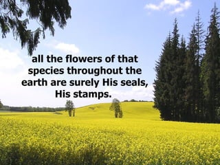 all the flowers of that
species throughout the
earth are surely His seals,
His stamps.
 