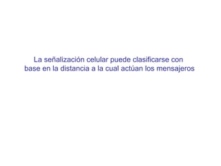 La señalizaci ón celular puede clasificarse con  base en la distancia a la cual actúan los mensajeros 