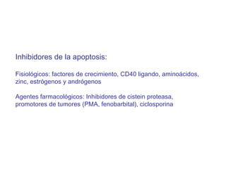 Inhibidores de la apoptosis: Fisiológicos: factores de crecimiento, CD40 ligando, aminoácidos, zinc, estrógenos y andrógenos Agentes farmacológicos: Inhibidores de cistein proteasa,  promotores de tumores (PMA, fenobarbital), ciclosporina 