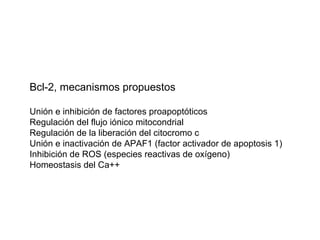 Bcl-2, mecanismos propuestos Unión e inhibición de factores proapoptóticos Regulación del flujo iónico mitocondrial Regulación de la liberación del citocromo c Unión e inactivación de APAF1 (factor activador de apoptosis 1) Inhibición de ROS (especies reactivas de oxígeno) Homeostasis del Ca++ 