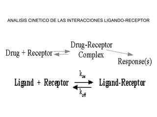 ANALISIS CINETICO DE LAS INTERACCIONES LIGANDO-RECEPTOR 