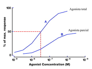 Agonista total Agonista parcial 