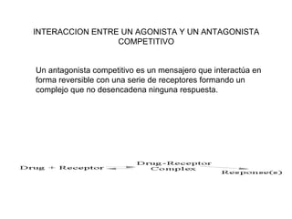 INTERACCION ENTRE UN AGONISTA Y UN ANTAGONISTA COMPETITIVO Un antagonista competitivo es un mensajero que interactúa en forma reversible con una serie de receptores formando un complejo que no desencadena ninguna respuesta. 