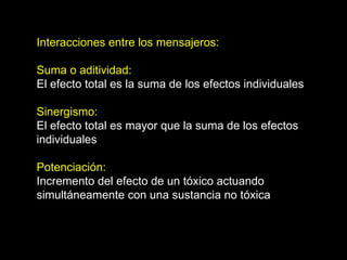 Interacciones entre los mensajeros: Suma o aditividad: El efecto total es la suma de los efectos individuales Sinergismo: El efecto total es mayor que la suma de los efectos  individuales Potenciación: Incremento del efecto de un tóxico actuando  simultáneamente con una sustancia no tóxica 