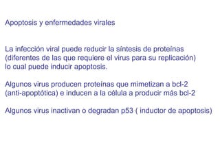 Apoptosis y enfermedades virales La infección viral puede reducir la síntesis de proteínas  (diferentes de las que requiere el virus para su replicación)  lo cual puede inducir apoptosis. Algunos virus producen proteínas que mimetizan a bcl-2 (anti-apoptótica) e inducen a la célula a producir más bcl-2 Algunos virus inactivan o degradan p53 ( inductor de apoptosis) 