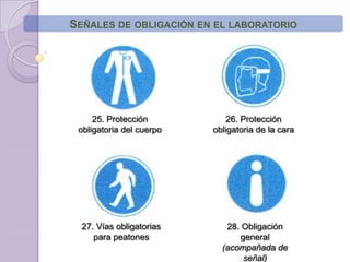 Señales de obligación en el laboratorio26. Protección obligatoria de la cara25. Protección obligatoria del cuerpo27. Vías obligatorias para peatones28. Obligación general  (acompañada de señal)