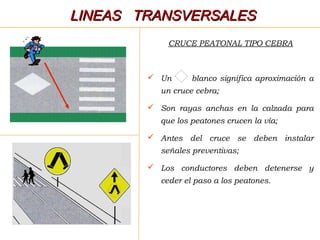 CRUCE PEATONAL TIPO CEBRA
 Un blanco significa aproximación a
un cruce cebra;
 Son rayas anchas en la calzada para
que los peatones crucen la vía;
 Antes del cruce se deben instalar
señales preventivas;
 Los conductores deben detenerse y
ceder el paso a los peatones.
LINEAS TRANSVERSALESLINEAS TRANSVERSALES
 