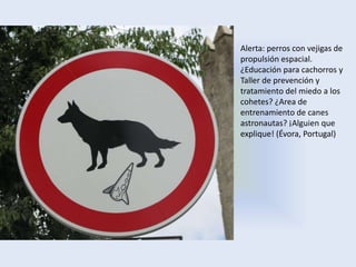 Alerta: perros con vejigas de
propulsión espacial.
¿Educación para cachorros y
Taller de prevención y
tratamiento del miedo a los
cohetes? ¿Area de
entrenamiento de canes
astronautas? ¡Alguien que
explique! (Évora, Portugal)
 