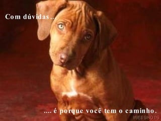 Com dúvidas...        .... é porque você tem o caminho. 