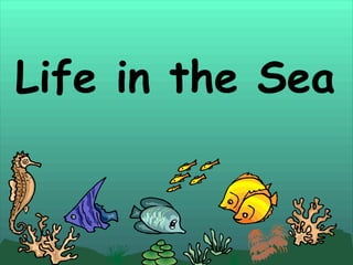 Life in the Sea 