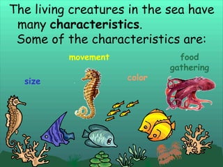 Sealife | PPT