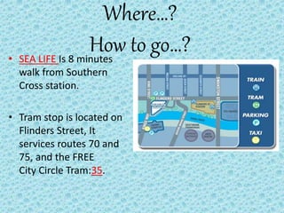 Where…?
How to go…?• SEA LIFE Is 8 minutes
walk from Southern
Cross station.
• Tram stop is located on
Flinders Street, It
services routes 70 and
75, and the FREE
City Circle Tram:35.
 