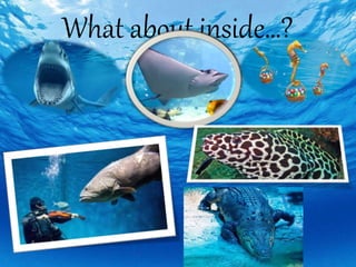 What about inside…?
 