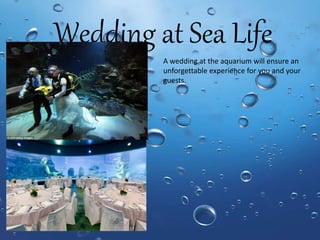 Wedding at Sea Life
A wedding at the aquarium will ensure an
unforgettable experience for you and your
guests.
 