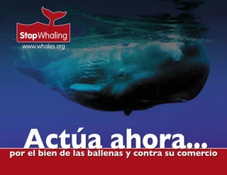 Actúa ahora...
por el bien de las ballenas y contra su comercio
 