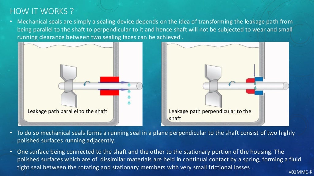 sealing system for rotating shafts ( mechanical seals and packing )