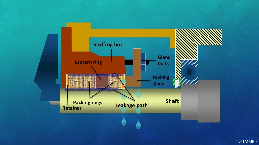 sealing system for rotating shafts ( mechanical seals and packing )