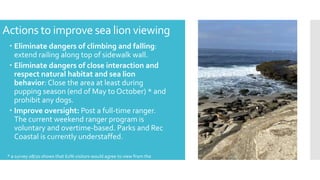 Sea Lion Presentation | PPT