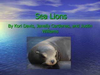 Sea Lions By Kori Davis, Janelly Cardenas, and Justin Williams 