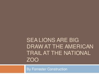 SEA LIONS ARE BIG
DRAW AT THE AMERICAN
TRAIL AT THE NATIONAL
ZOO
By Forrester Construction

 