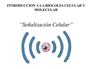“Señalización Celular”
INTRODUCCION A LA BIOLOGIA CELULAR Y
MOLECULAR
 