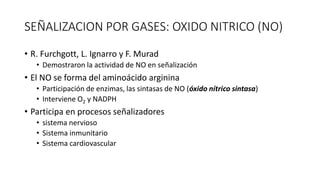SEÑALIZACION POR GASES: OXIDO NITRICO (NO)
• R. Furchgott, L. Ignarro y F. Murad
• Demostraron la actividad de NO en señalización
• El NO se forma del aminoácido arginina
• Participación de enzimas, las sintasas de NO (óxido nítrico sintasa)
• Interviene O2 y NADPH
• Participa en procesos señalizadores
• sistema nervioso
• Sistema inmunitario
• Sistema cardiovascular
 