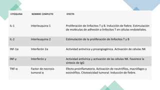 CITOQUINA NOMBRE COMPLETO EFECTO
IL-1 Interleuquina 1 Proliferación de linfocitos T y B. Inducción de fiebre. Estimulación
de moléculas de adhesión a linfocitos T en células endoteliales.
IL-2 Interleuquina 2 Estimulación de la proliferación de linfocitos T y B
INF-1α Interferón 1α Actividad antivírica y proangiogénica. Activación de células NK
INF-γ Interferón γ Actividad antivírica y activación de las células NK. Favorece la
síntesis de IgG
TNF-α Factor de necrosis
tumoral α
Efecto proinflamatorio. Activación de neutrófilos, macrófagos y
eosinófilos. Citotoxicidad tumoral. Inducción de fiebre.
 