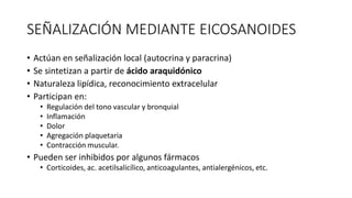 SEÑALIZACIÓN MEDIANTE EICOSANOIDES
• Actúan en señalización local (autocrina y paracrina)
• Se sintetizan a partir de ácido araquidónico
• Naturaleza lipídica, reconocimiento extracelular
• Participan en:
• Regulación del tono vascular y bronquial
• Inflamación
• Dolor
• Agregación plaquetaria
• Contracción muscular.
• Pueden ser inhibidos por algunos fármacos
• Corticoides, ac. acetilsalicílico, anticoagulantes, antialergénicos, etc.
 
