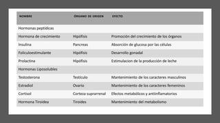NOMBRE ÓRGANO DE ORIGEN EFECTO
Hormonas peptídicas
Hormona de crecimiento Hipófisis Promoción del crecimiento de los órganos
Insulina Pancreas Absorción de glucosa por las células
Foliculoestimulante Hipófisis Desarrollo gonadal
Prolactina Hipófisis Estimulacion de la producción de leche
Hormonas Liposolubles
Testosterona Testículo Mantenimiento de los caracteres masculinos
Estradiol Ovario Mantenimiento de los caracteres femeninos
Cortisol Corteza suprarrenal Efectos metabólicos y antiinflamatorios
Hormona Tiroidea Tiroides Mantenimiento del metabolismo
 