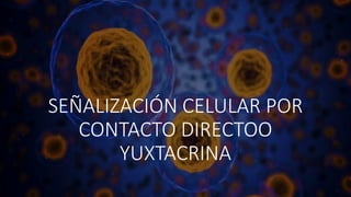 SEÑALIZACIÓN CELULAR POR
CONTACTO DIRECTOO
YUXTACRINA
 