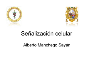 Señalización celular Alberto Manchego Sayán 