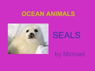 SEALS
OCEAN ANIMALS
by Michael
 